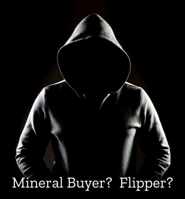 Mineral rights buyer or flipper?